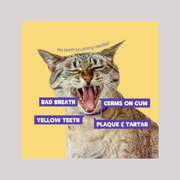 Dental Finger Wipes for Cats & Dogs 50 pc T875