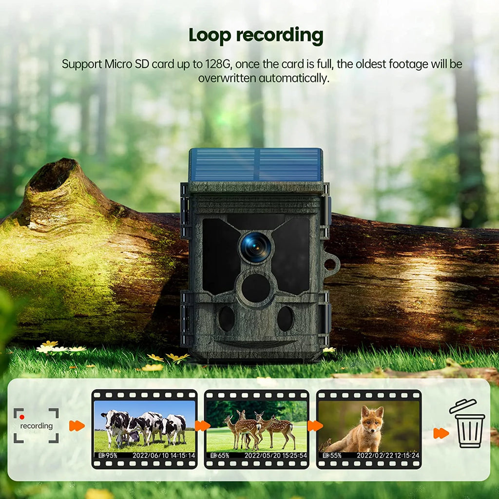 Solar Powered Trail Camera with SD Card 46MP 4K WiFi Night Vision Waterproof M6856