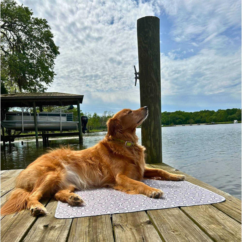 Bone Print Washable Reusable Pee Pads for Dogs X480