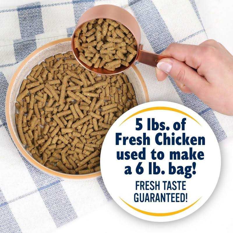 Dry Dog Food D21953