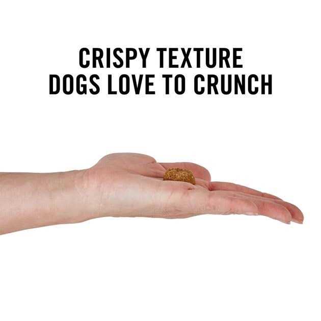 Peanut Butter Grain-Free Oven Baked Crunchy Biscuit Dog Treats A506