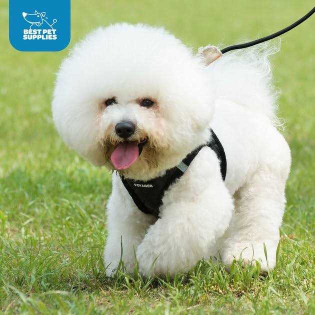 Step-In Plush Dog Harness O9564