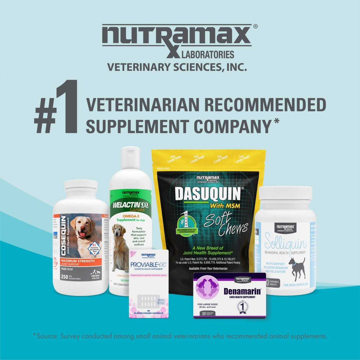 Omega-3 Supplement Soft Chews For Dogs K2018