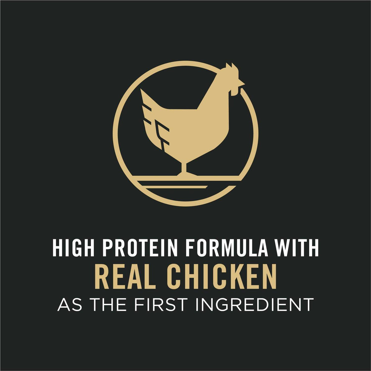 Adult Dog Food Shredded Blend Chicken Rice Formula U823