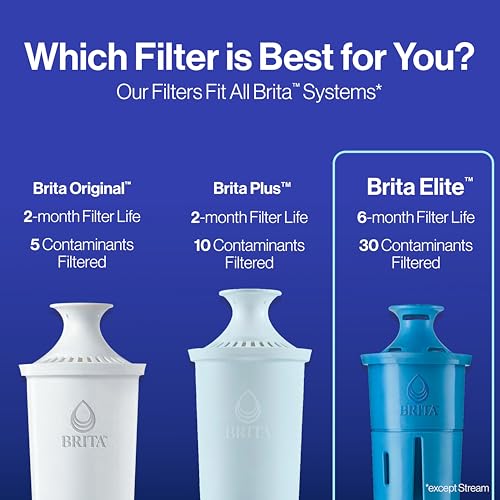 Water Filter Replacements for Pitchers and Dispensers, 2 Count L9976
