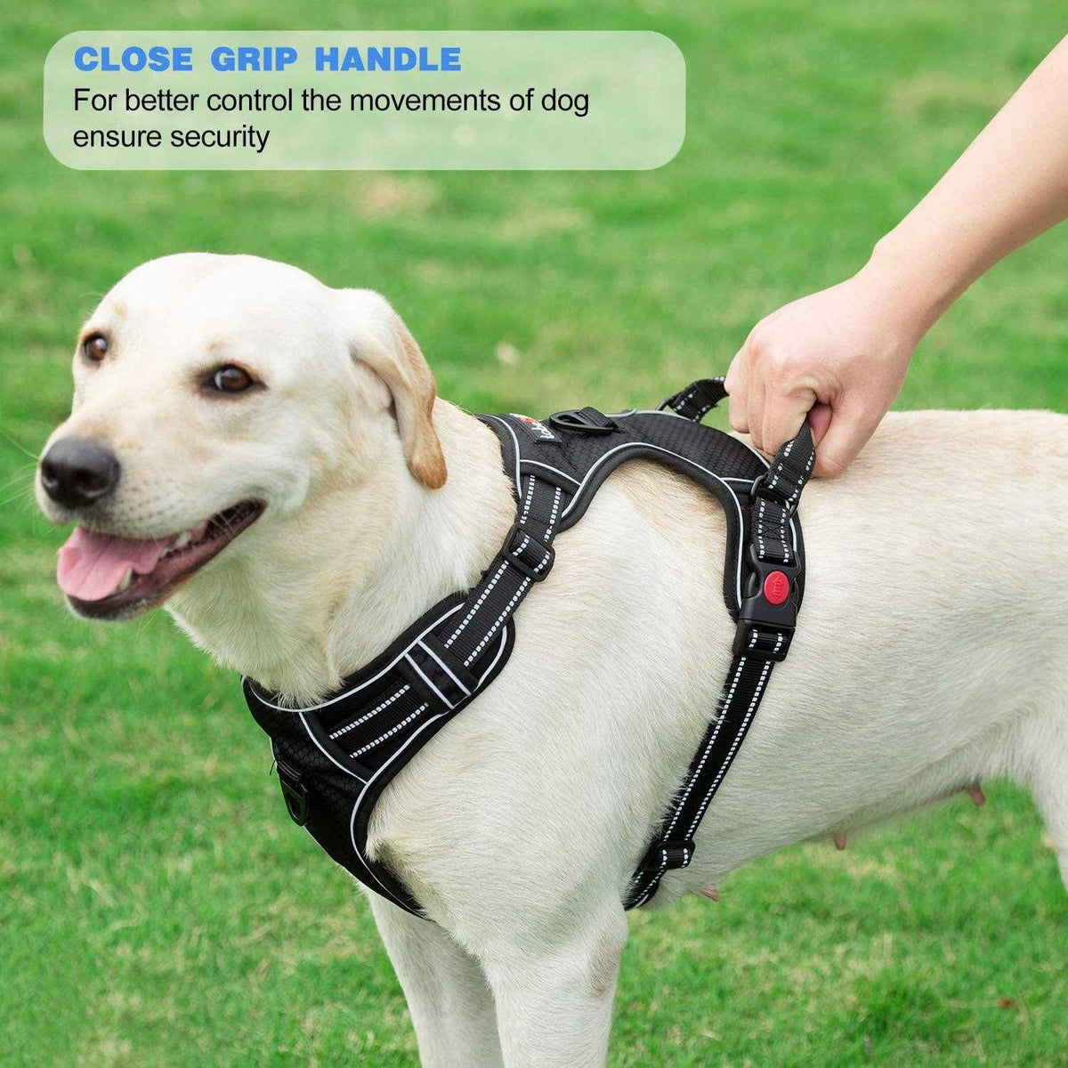 Adjustable Reflective Oxford Dog Harness with 5ft Dog Leash P27519